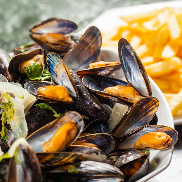 Cooked Mussels