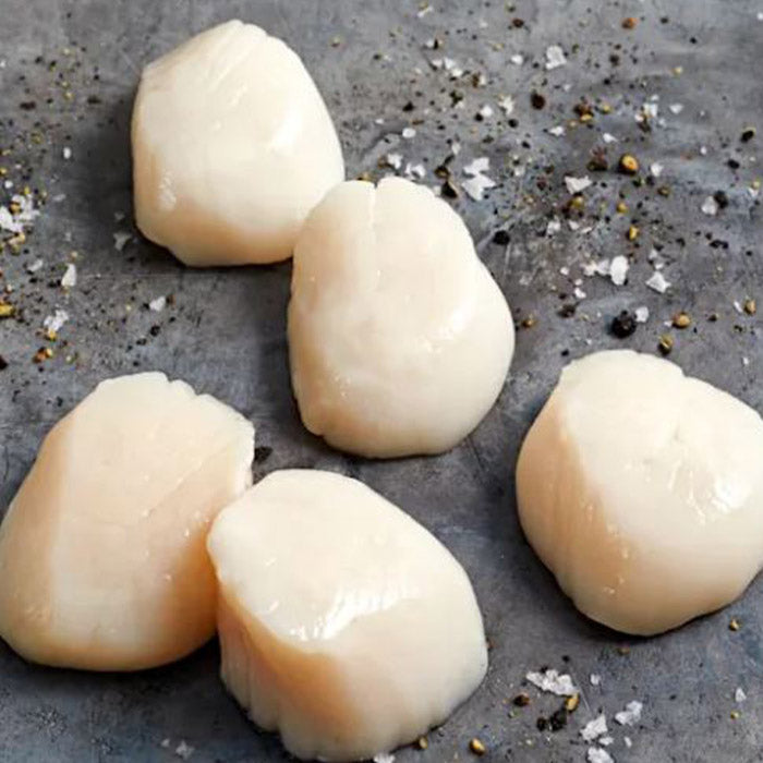Wet Scallops - 10-20